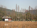 东湖磨山