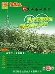 山茶油食用油