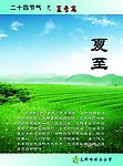 二十四节气 夏季篇 夏至