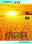 二十四节气 夏季篇 芒种