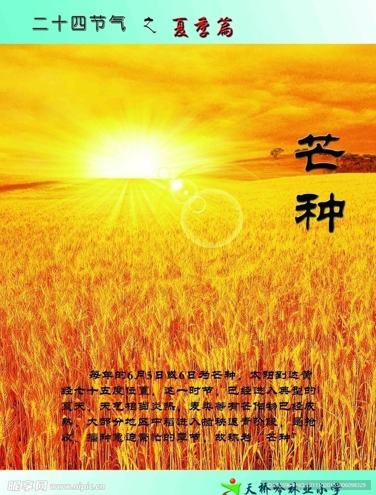 二十四节气 夏季篇 芒种