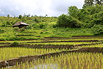 宁静的乡村