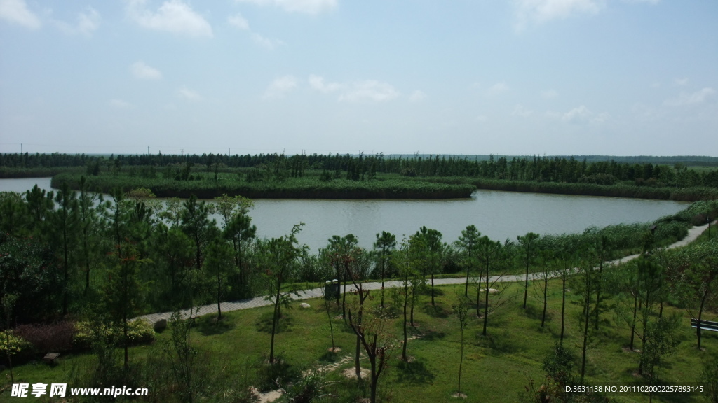上海崇明东滩湿地照片