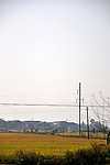 田野风光
