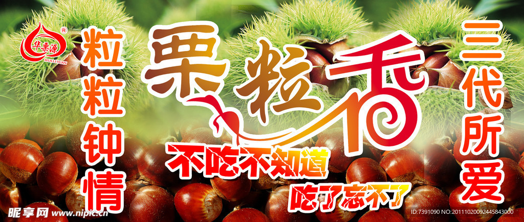 栗子 栗粒香