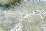小溪流水