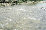 小溪流水