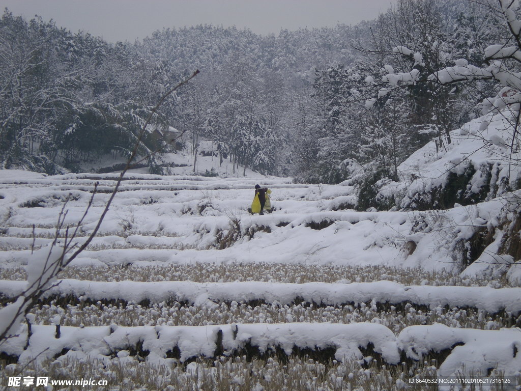 风雪回家路