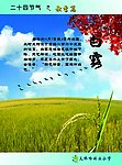 二十四节气 秋季篇 白露