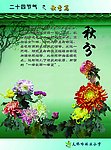 二十四节气 秋季篇 秋分