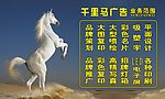 骏马