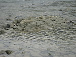 小溪流水