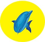 海豚