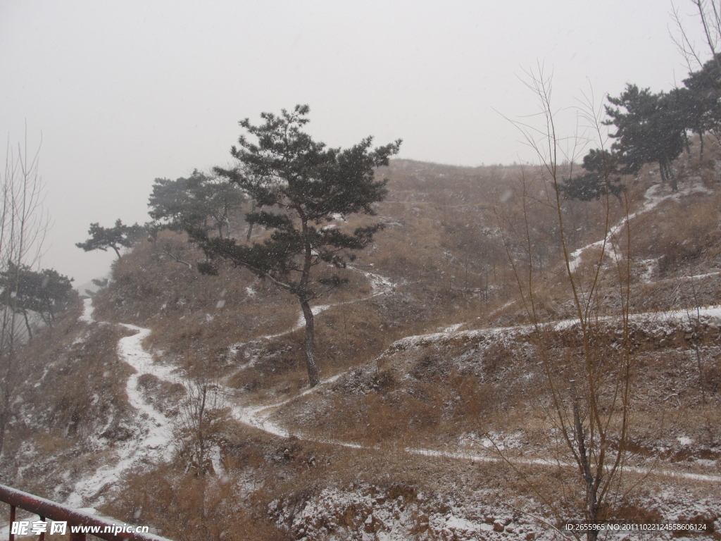 家乡雪景