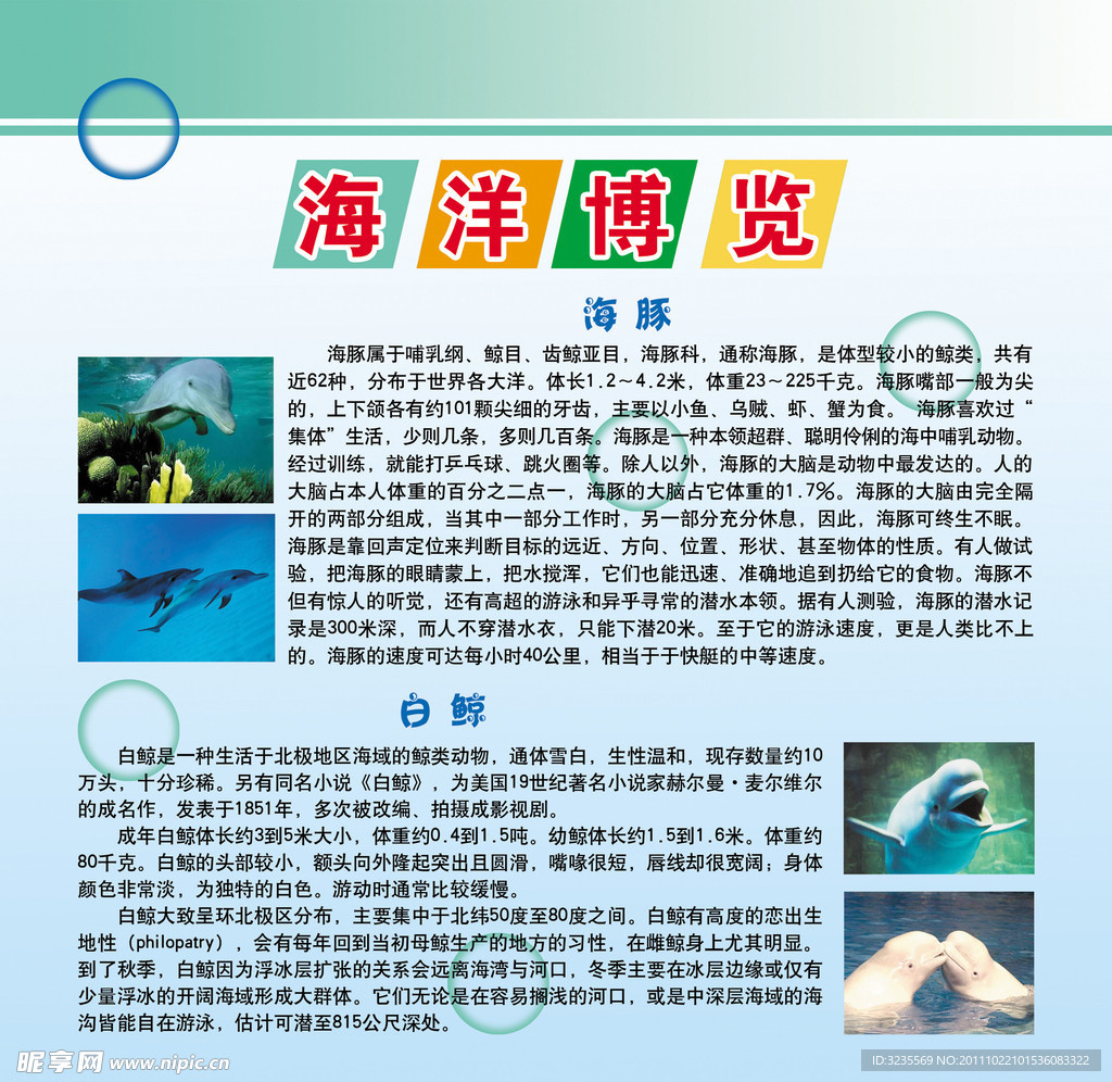 海洋博览