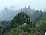 森林山脉