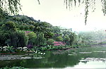 大型公园景观效果图