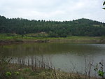 青山和绿水