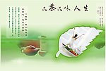 品茶品味人生