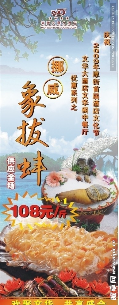 品尝象拔蚌