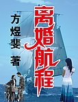 《离婚航程》书籍封面