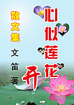 《心似莲花开》封面