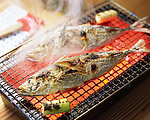 鱼味佳肴