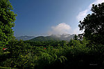 森林蓝天