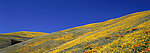 宽幅山坡