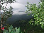 山脉森林