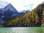 山脉森林