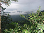 山峰森林