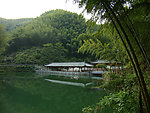 森林河流