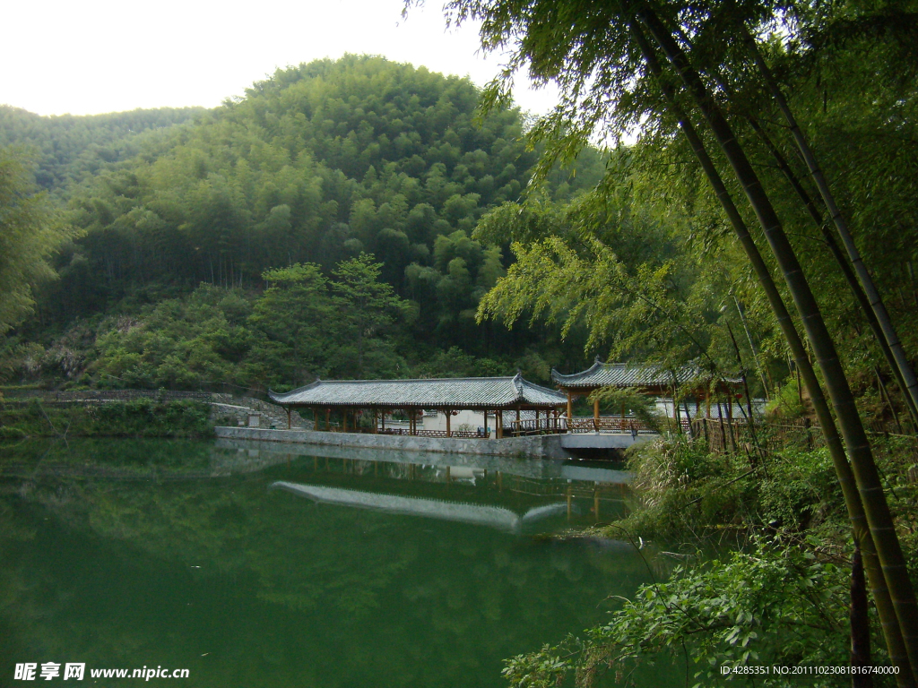 森林河流