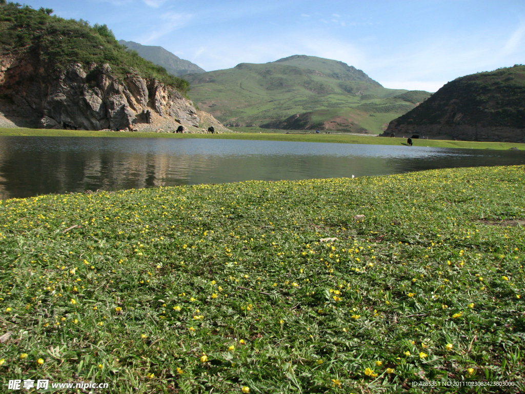 河水草地