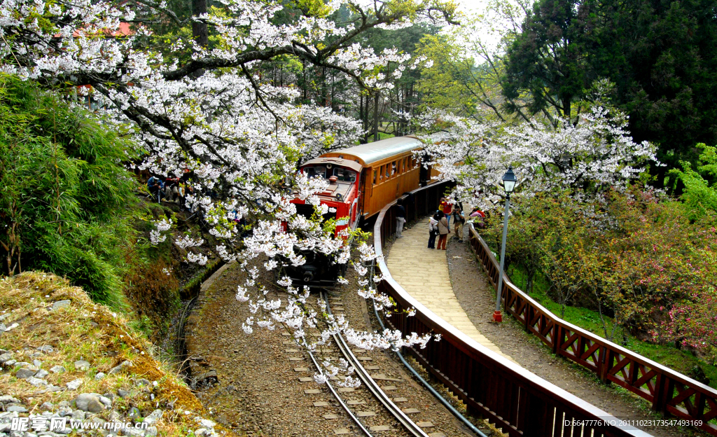 阿里山小火车