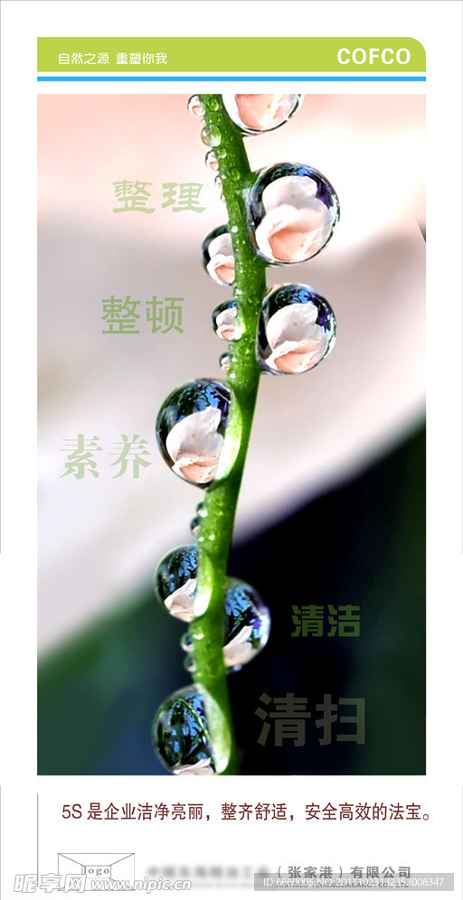 企业文化