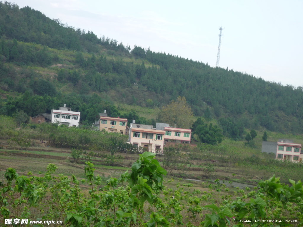 美丽的乡村
