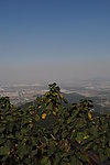 宁波北仑九峰山