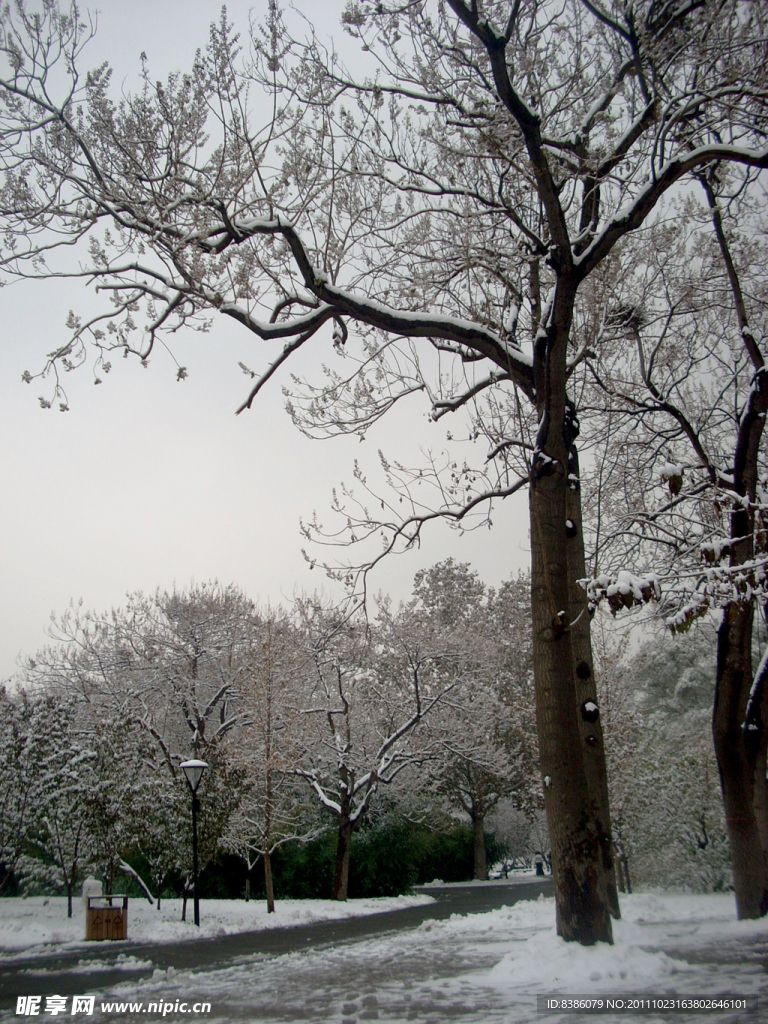 雪景