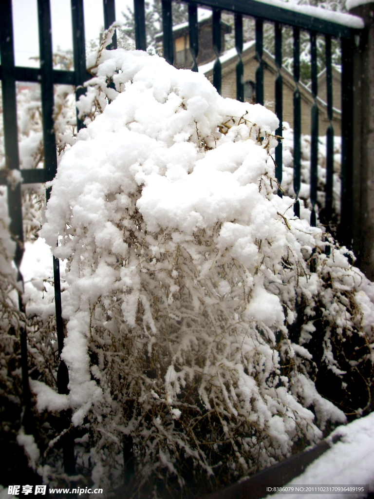 雪景