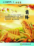 二十四节气 秋季篇 霜降