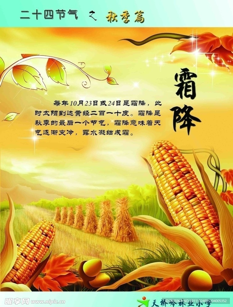 二十四节气 秋季篇 霜降