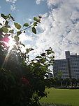 广州城市中心