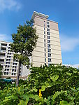 广州城市中心