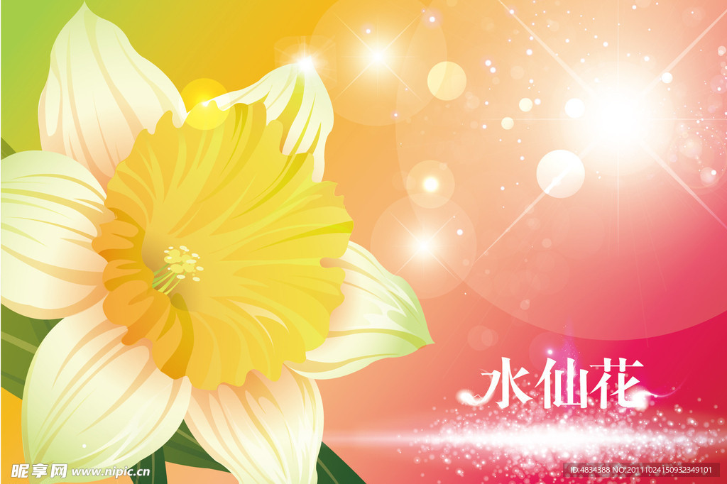 水仙花