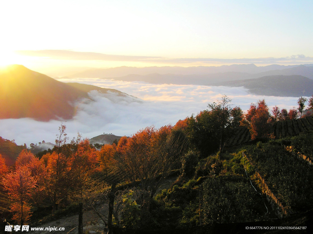 高山云海