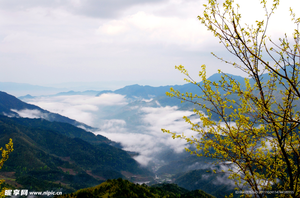 高山云海