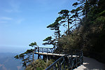 黄山风光