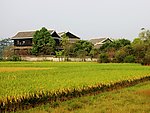 田园